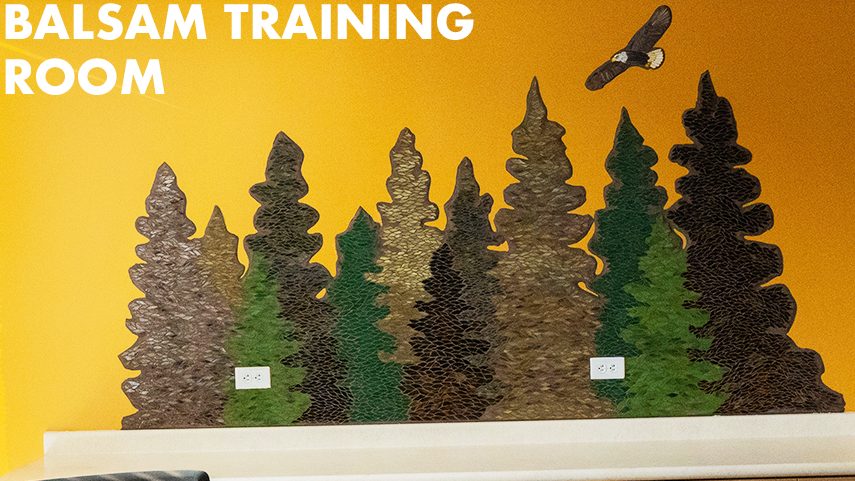 Mosaic of balsam trees