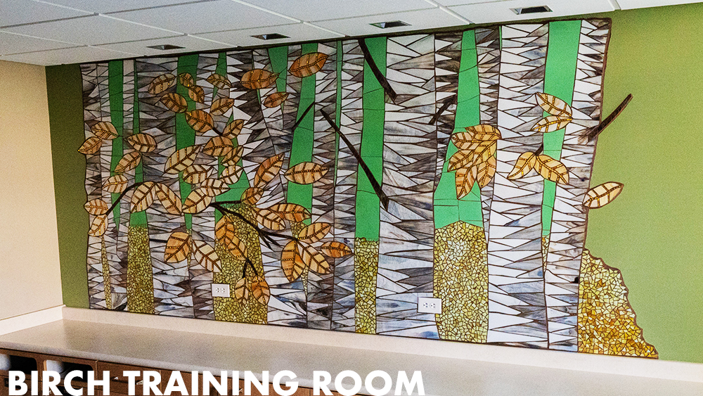 mosaic of birch trees