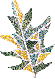 mosaic leaf